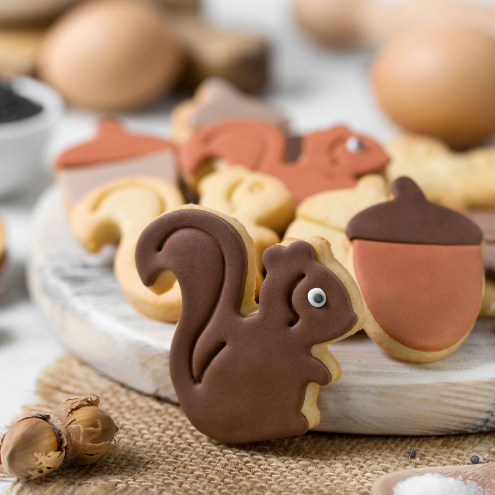 Eichhörnchen & Eichel Ausstecher-Set
